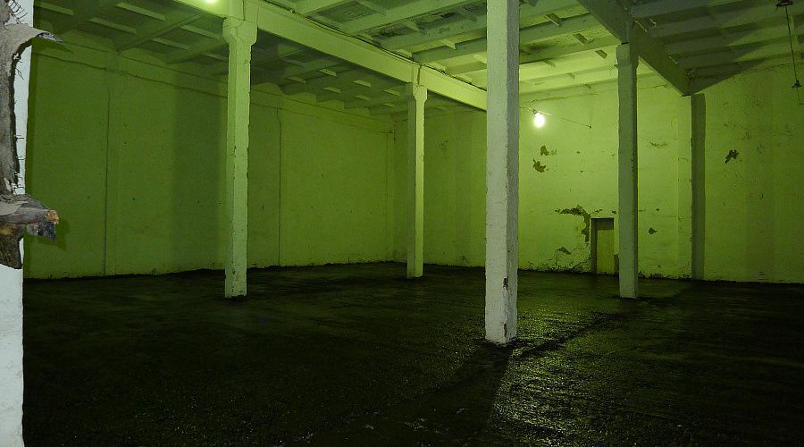 фото: ПЛОДОПИТОМНИК ЖЕРДЕВСКИЙ ОАО